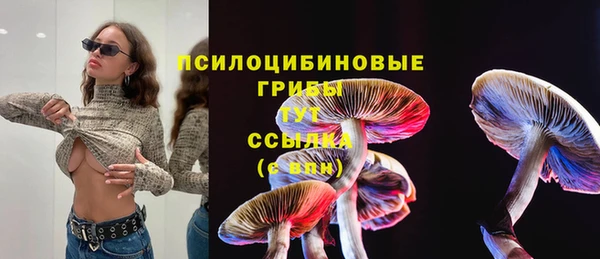 а пвп мука Балабаново