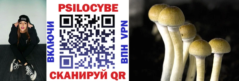 купить наркотик  Тимашёвск  Псилоцибиновые грибы Cubensis 